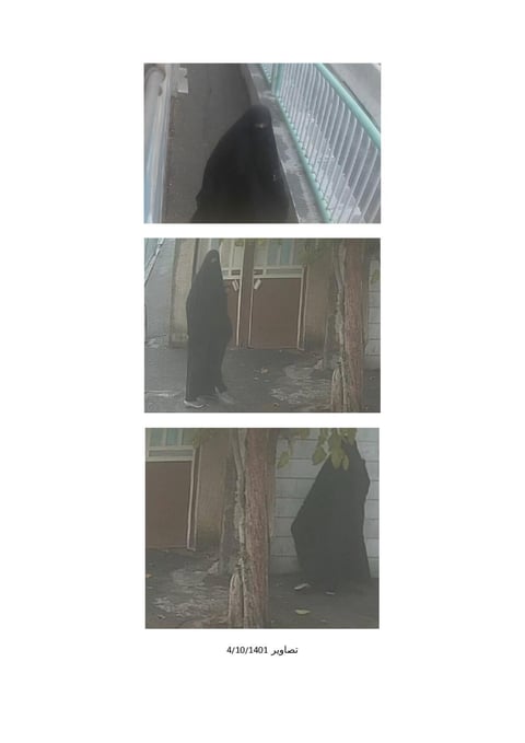 Surveillance