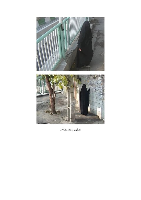 Surveillance
