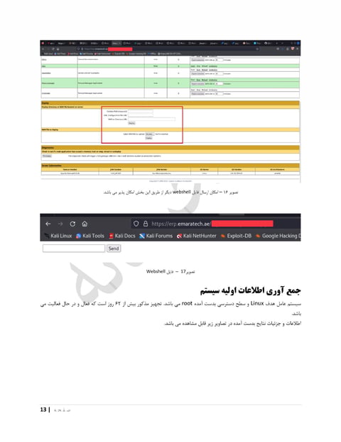 EmaraTech